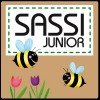 Sassi